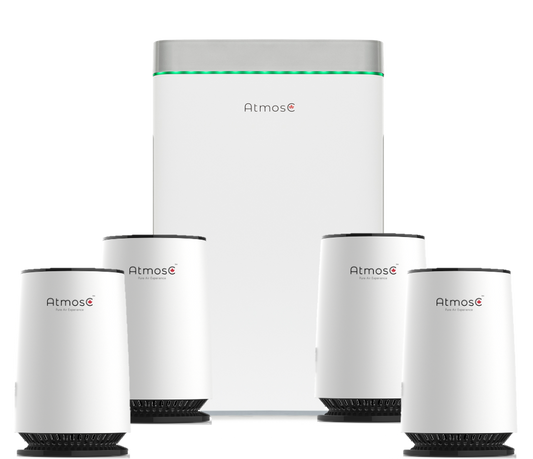 Whole Home Air Purifier